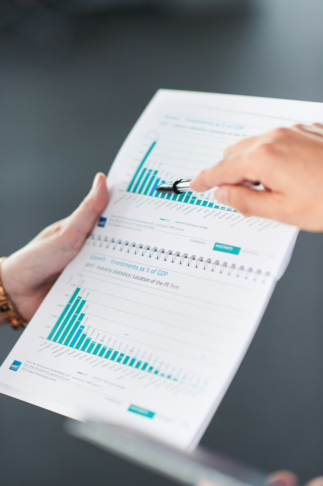financial documents audit